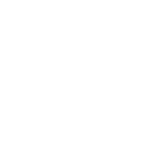 PUTSCH